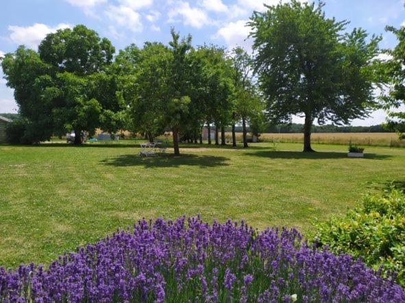 Gite De La Petite Forge Clevilliers Exterior foto